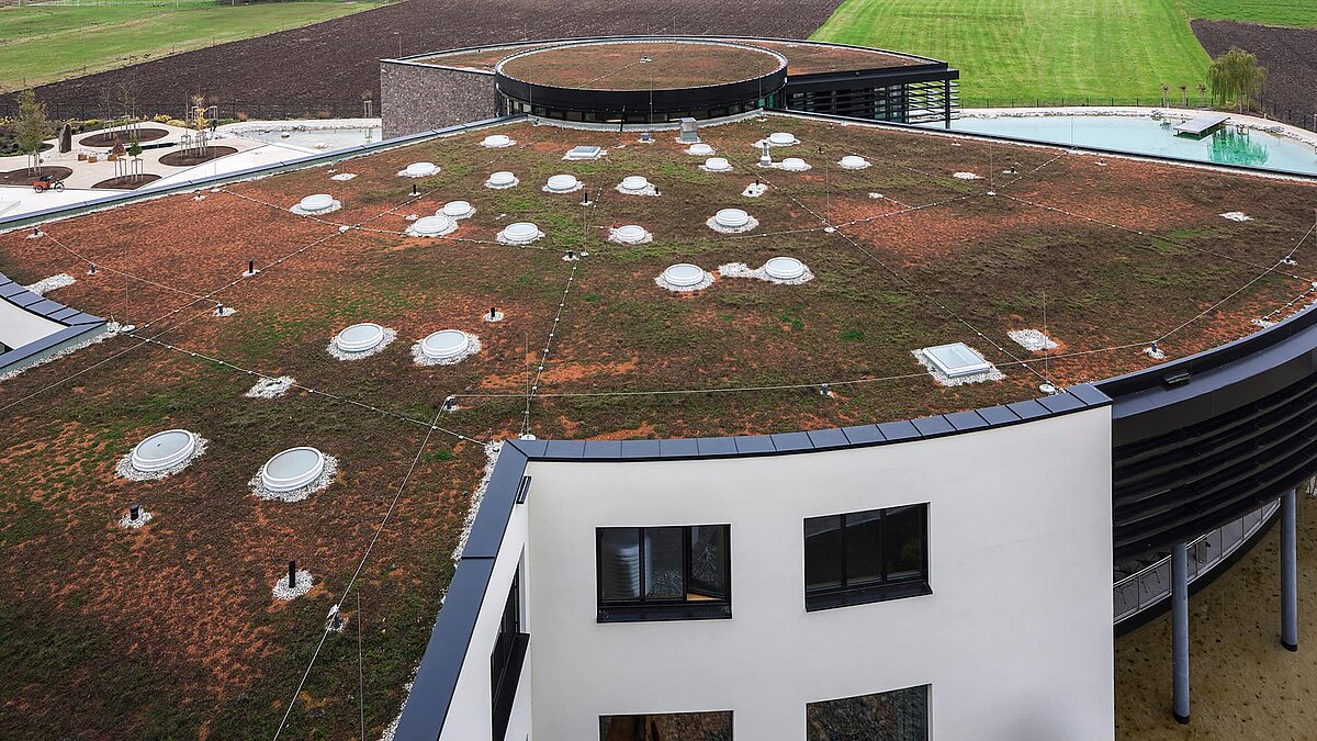 Green roof of the Zaltech building in Moosdorf, Austria, featuring LAMILUX flat roof windows F100 and round flat roof windows FE.
