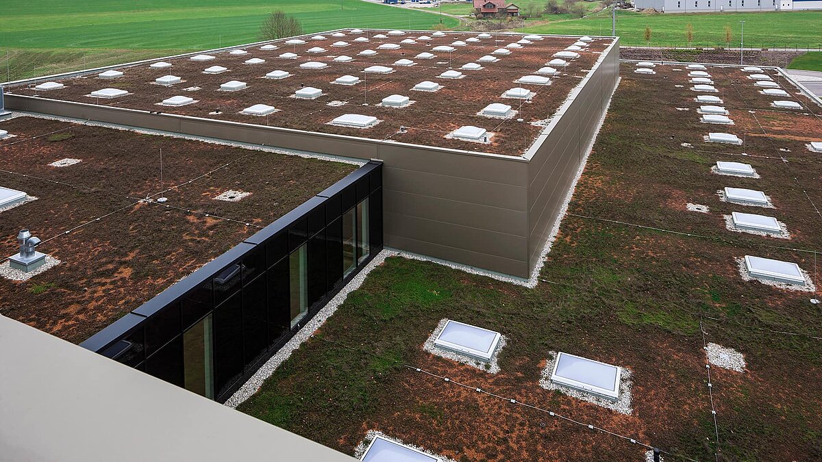 Green roof at Zaltech in Moosdorf, Austria, featuring LAMILUX flat roof windows F100 and round flat roof windows FE.