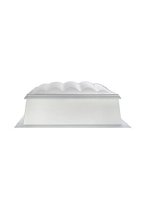 Rooflight F100