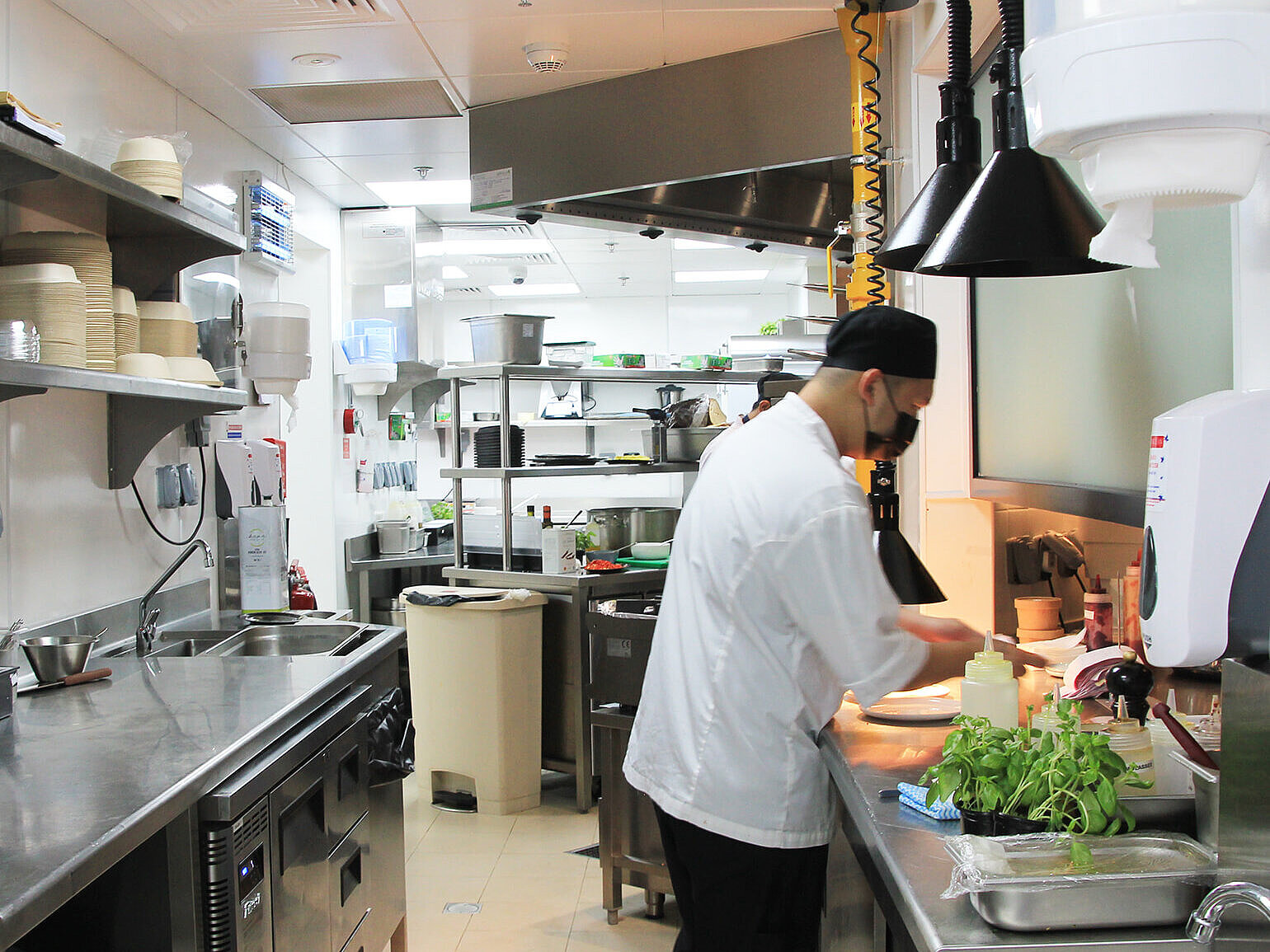 Chef working in a professional kitchen, preparing food