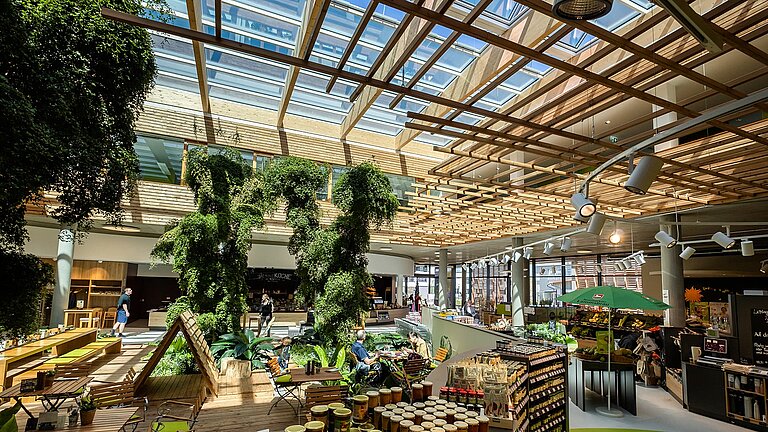 Interior of the Byodo organic food store in Mühldorf with plants, natural light, and wooden elements.