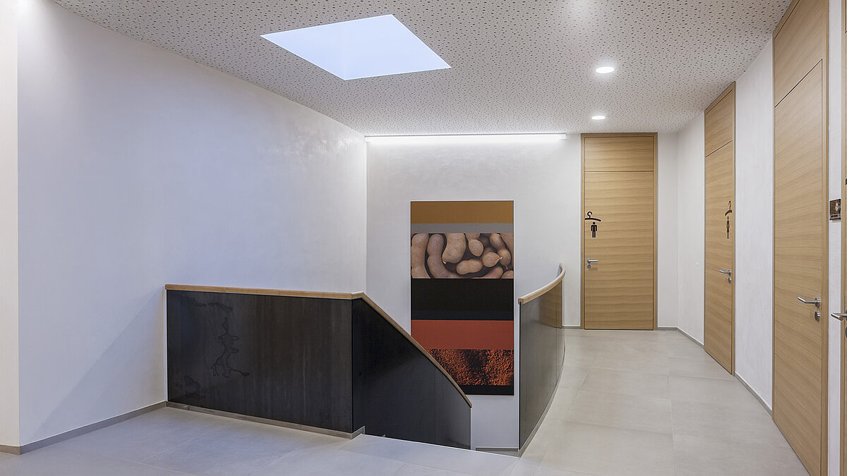 Staircase at Zaltech in Moosdorf, Austria, illuminated by a LAMILUX flat roof window F100 for natural brightness.