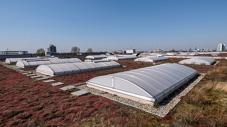 Continuous rooflights for industrial buildings