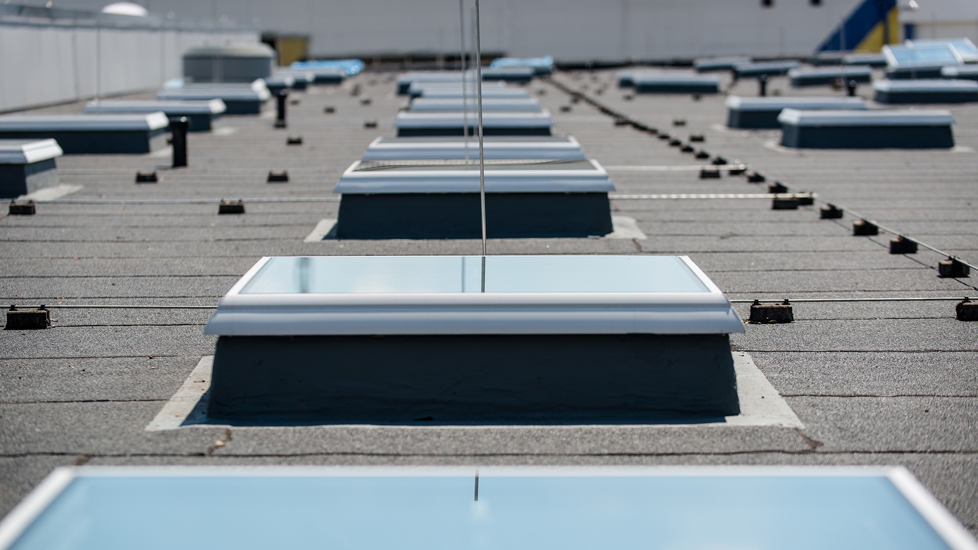 Multiple flat roof windows on the roof of the Caritas building in Hagen, evenly arranged for natural ventilation and daylight.